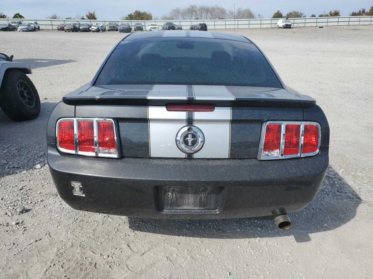 2008 Ford Mustang VIN: 1ZVHT80N985157249 Lot: 81014495