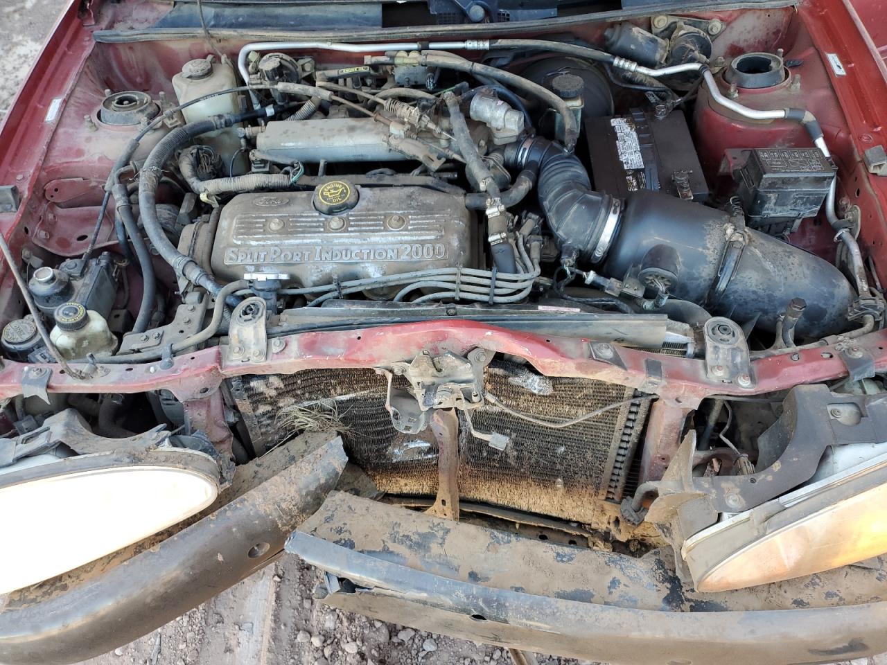 1998 Ford Escort Se VIN: 1FAFP13P1WW310240 Lot: 71133435