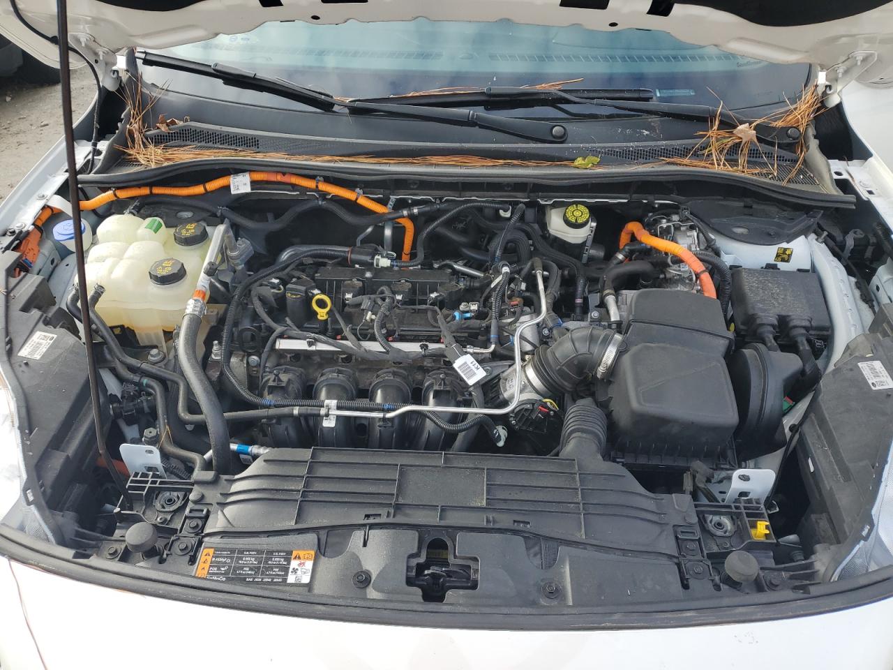 2021 Ford Escape Titanium VIN: 1FMCU9DZ2MUA92284 Lot: 70280155