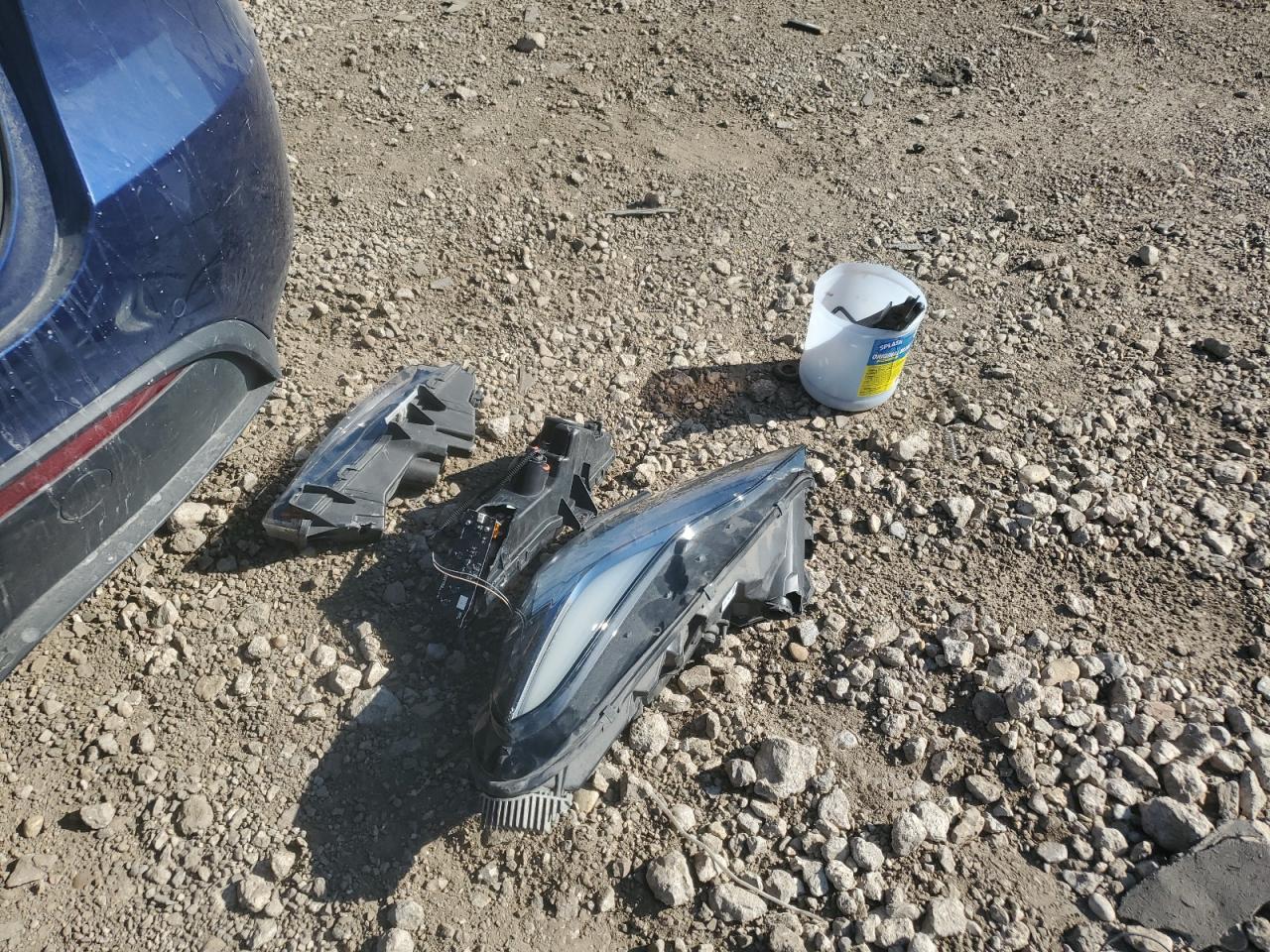 2022 Tesla Model Y VIN: 7SAYGDEE8NF387306 Lot: 70539465