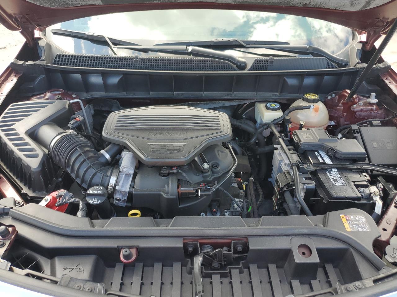 2019 Cadillac Xt5 Luxury VIN: 1GYKNDRS5KZ131598 Lot: 81479125