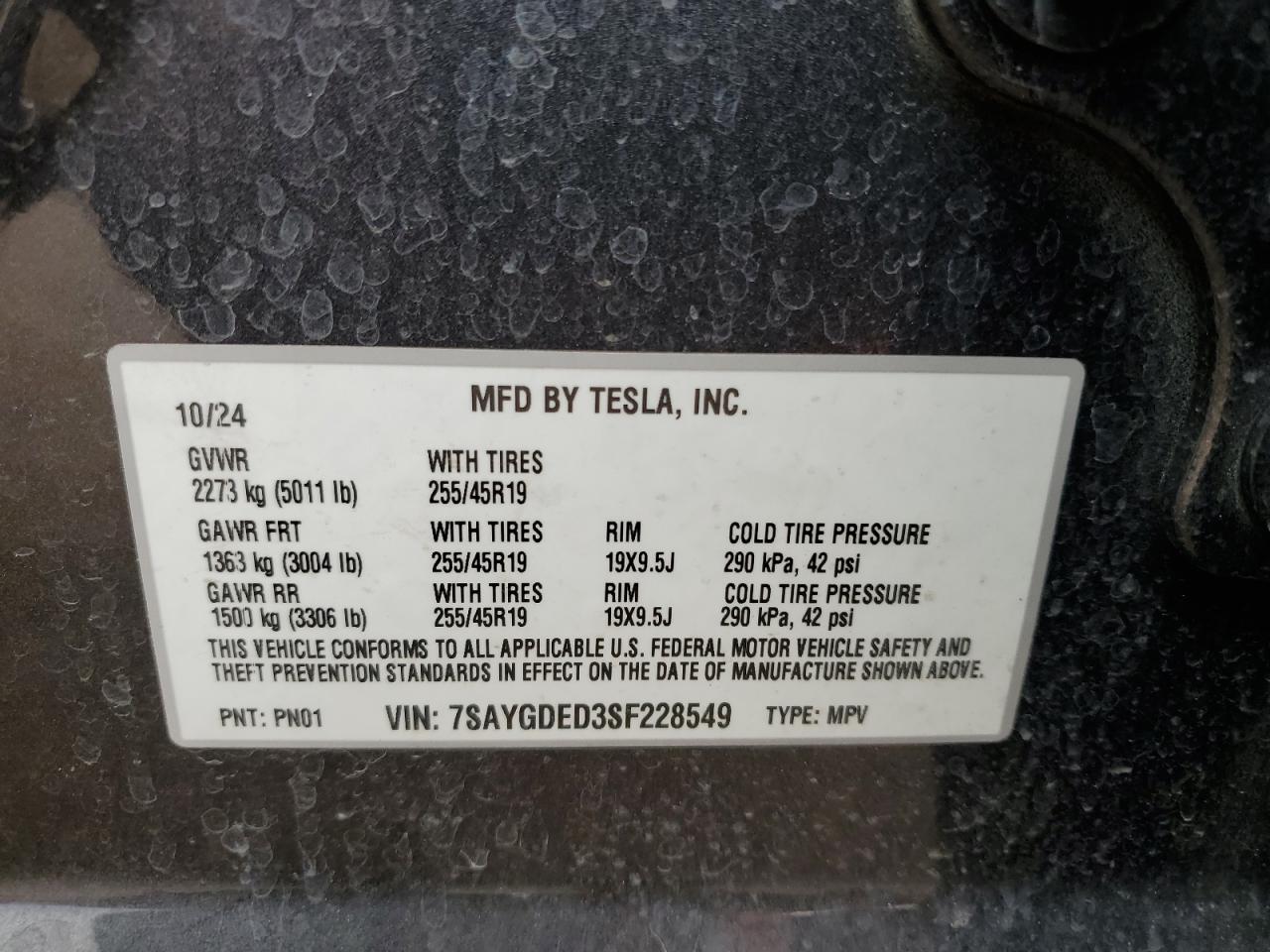 2025 Tesla Model Y VIN: 7SAYGDED3SF228549 Lot: 81584725