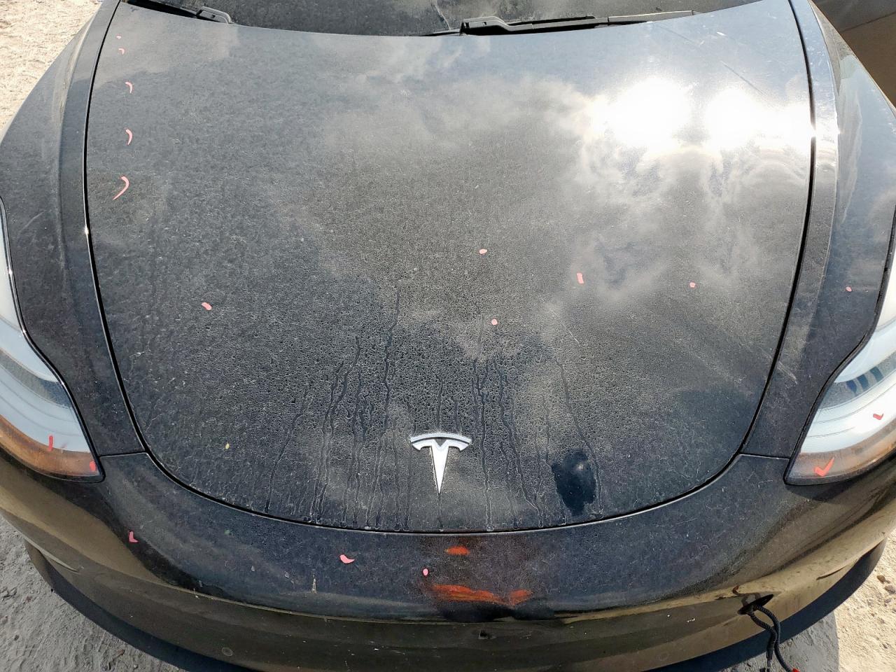 2019 Tesla Model 3 VIN: 5YJ3E1EA1KF316808 Lot: 81341595