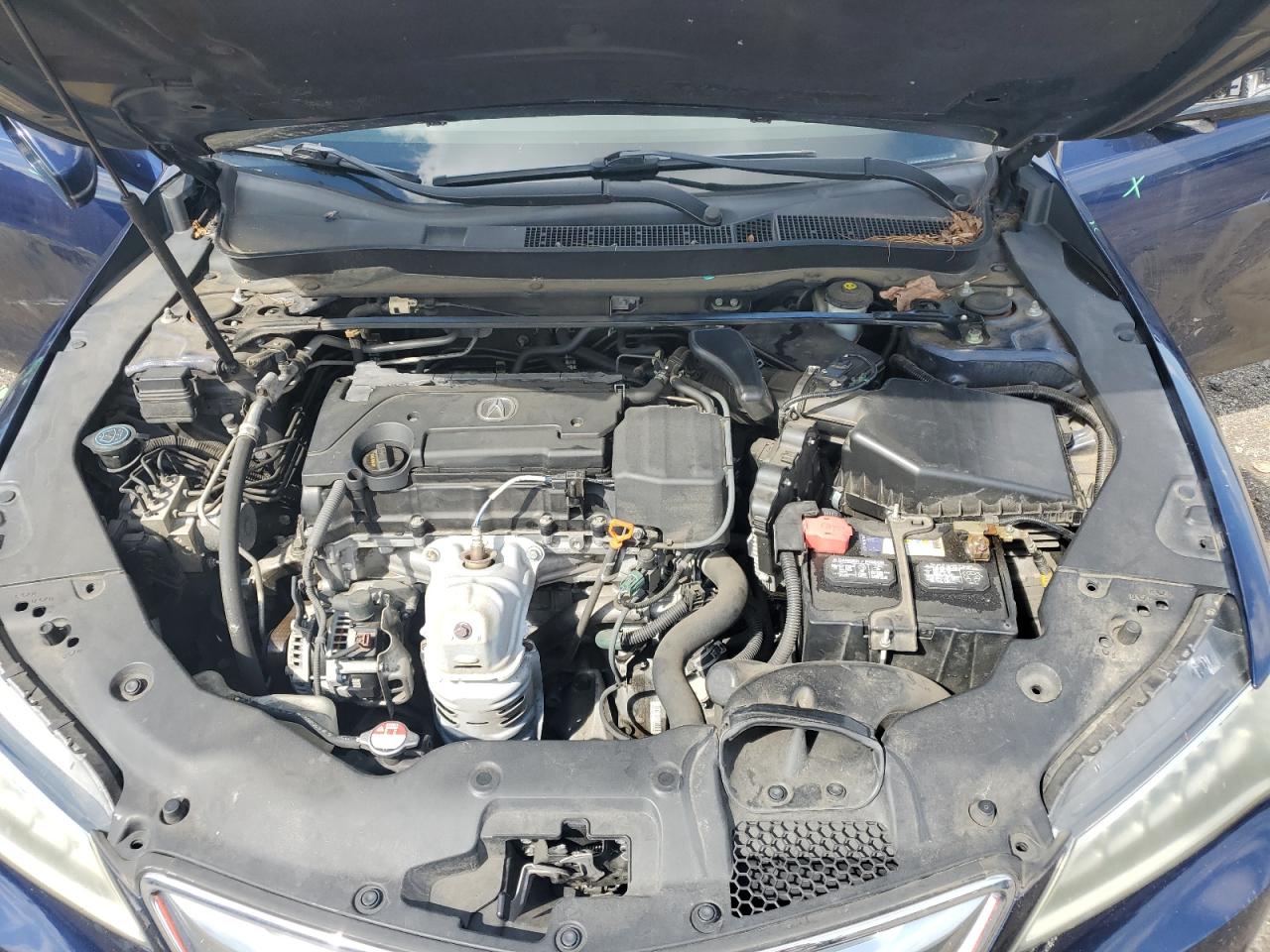 2015 Acura Tlx VIN: 19UUB1F36FA018316 Lot: 71608825