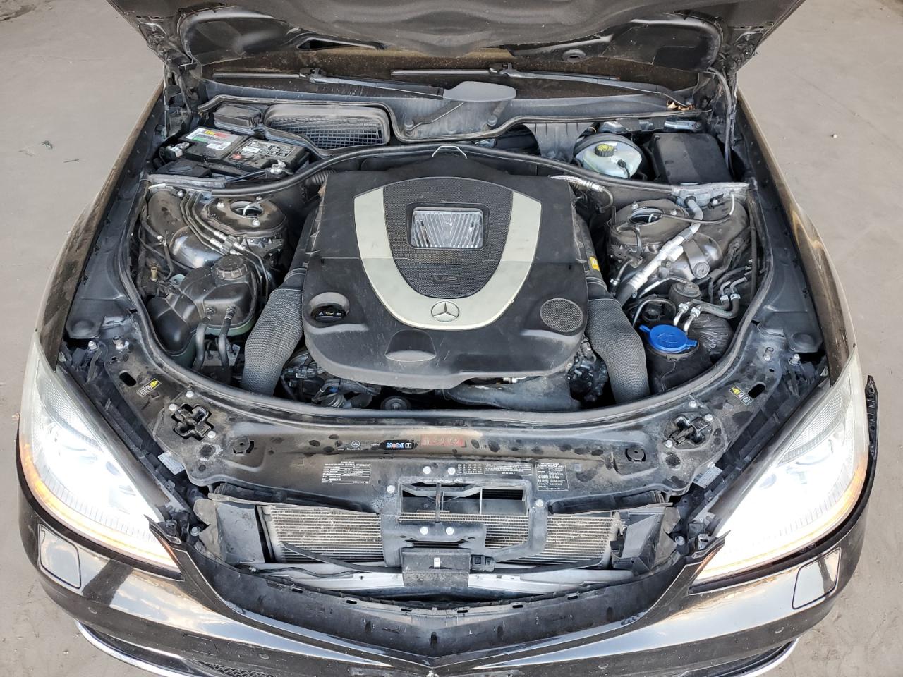 2010 Mercedes-Benz S 550 4Matic VIN: WDDNG8GB1AA332389 Lot: 82068865
