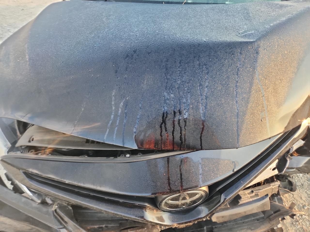 2019 Toyota Camry L VIN: 4T1B11HK8KU851682 Lot: 80952355