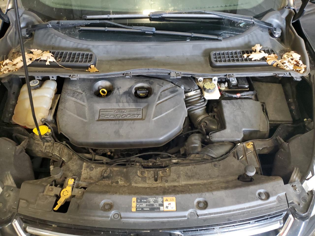 2014 Ford Escape Titanium VIN: 1FMCU9J91EUA47309 Lot: 81338495