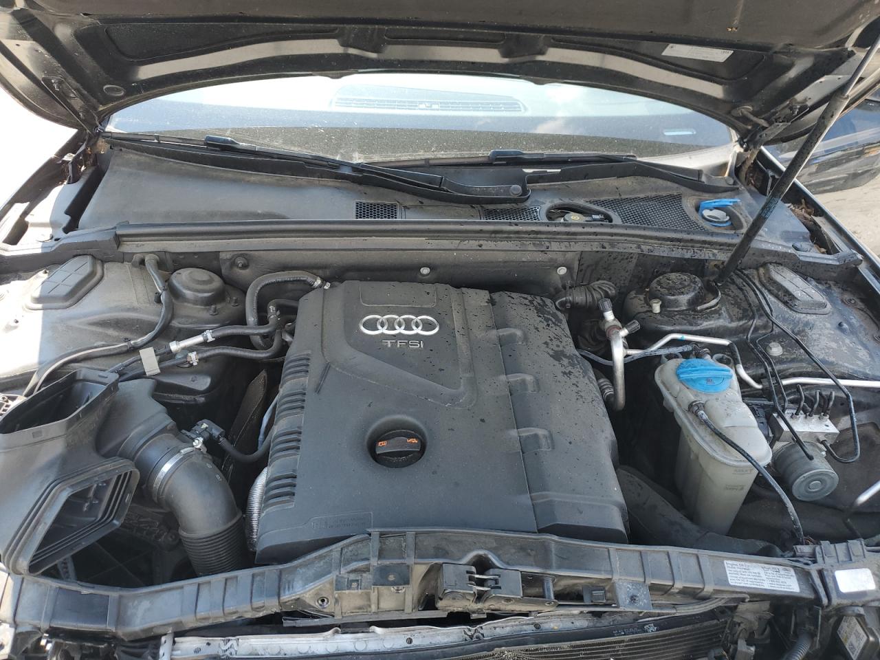 2013 Audi A5 Premium Plus VIN: WAULFAFH8DN016757 Lot: 71613235