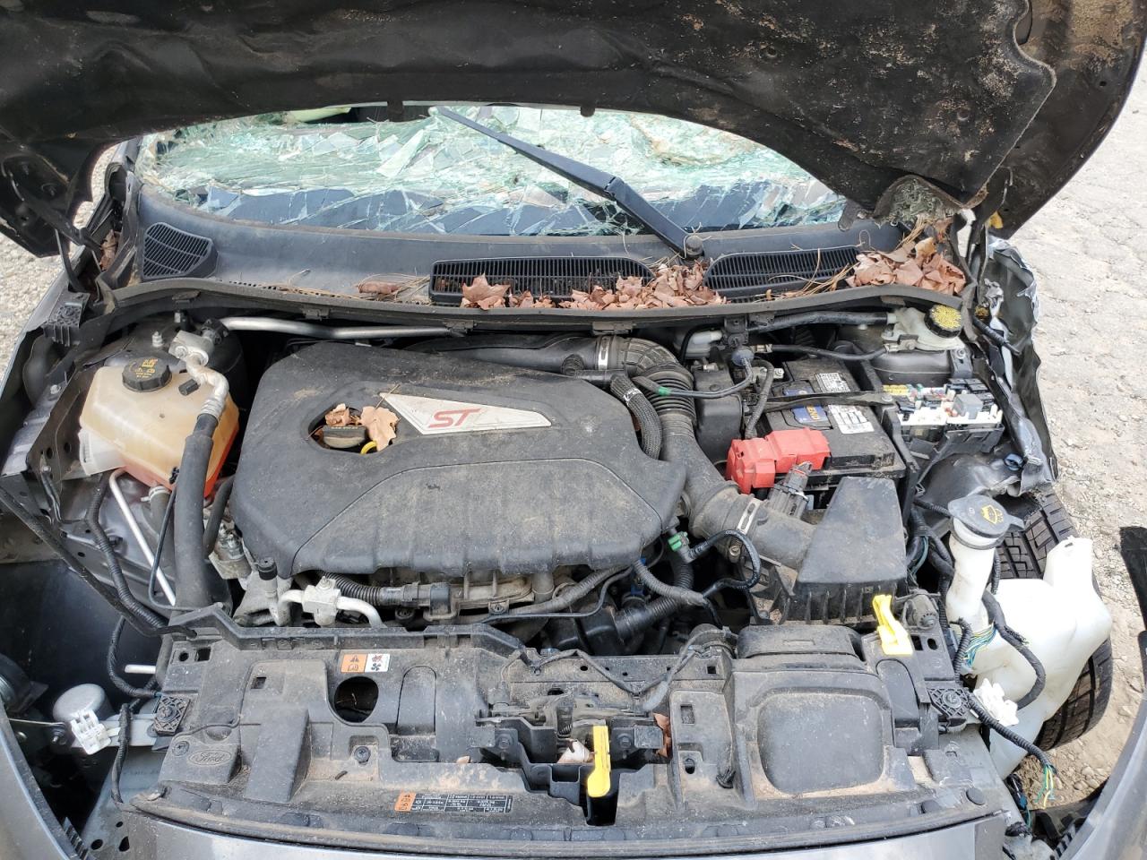 2017 Ford Fiesta St VIN: 3FADP4GX6HM136963 Lot: 81676765