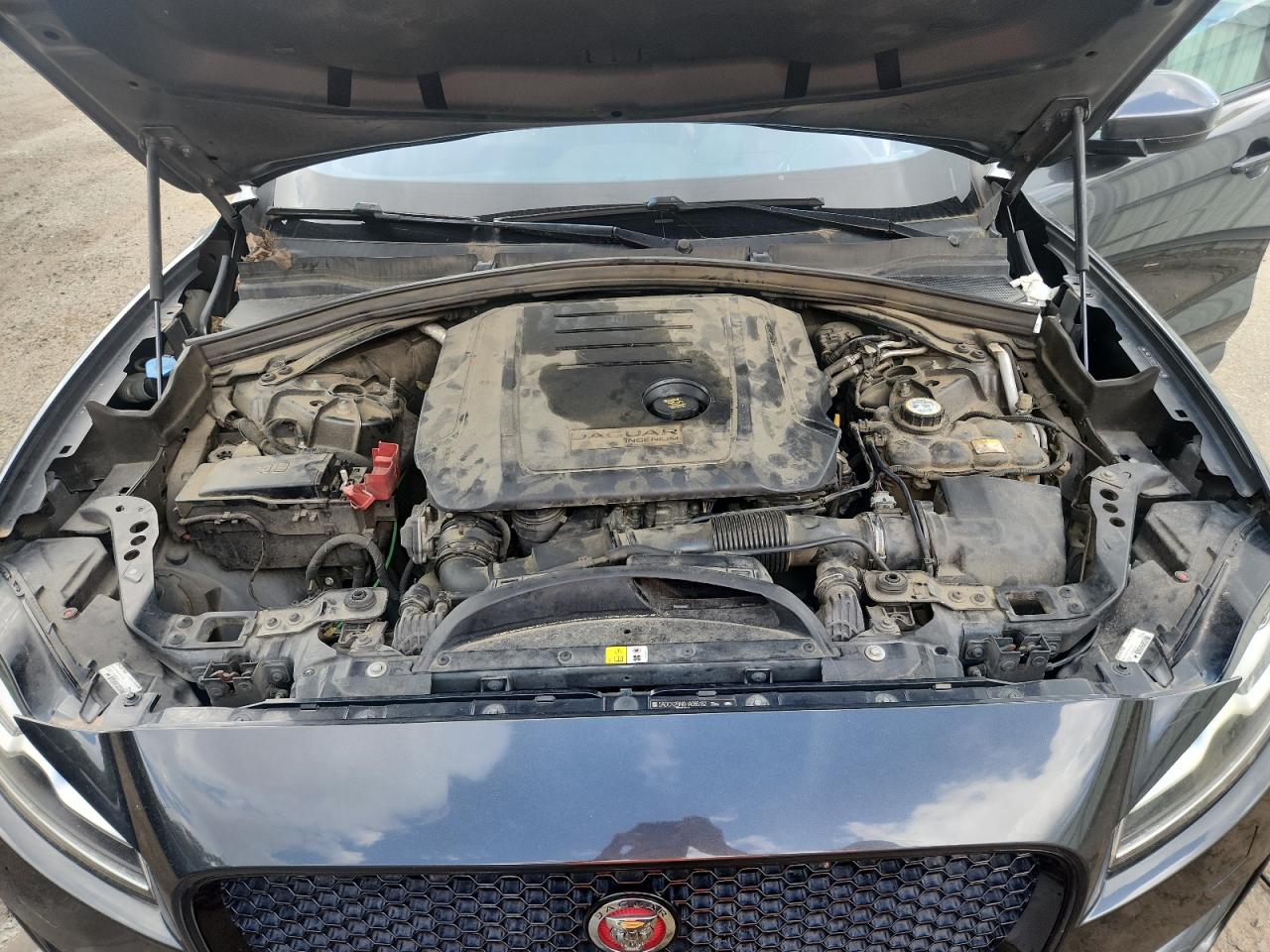 2026 Jaguar F-Pace Prestige VIN: SADCK2BN6HA086162 Lot: 81318835