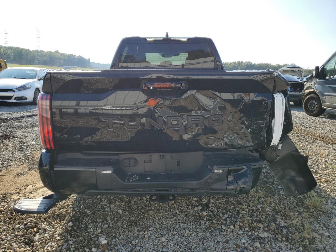 2022 Toyota Tundra Crewmax Platinum VIN: 5TFNA5ECXNX001139 Lot: 80833825