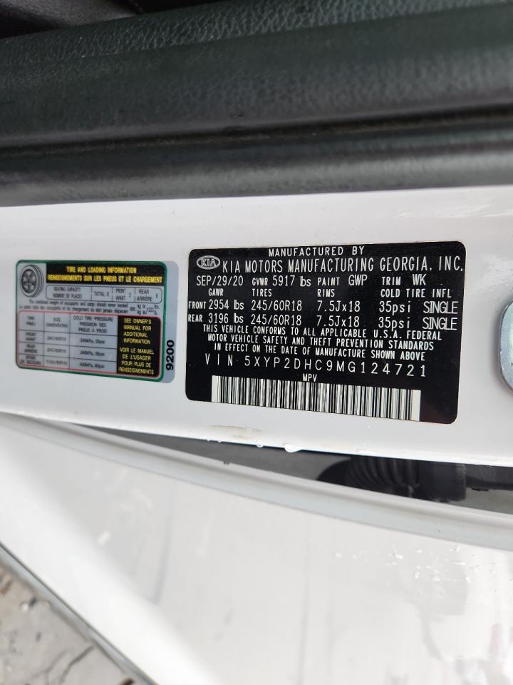 2021 Kia Telluride Lx VIN: 5XYP2DHC9MG124721 Lot: 83754325