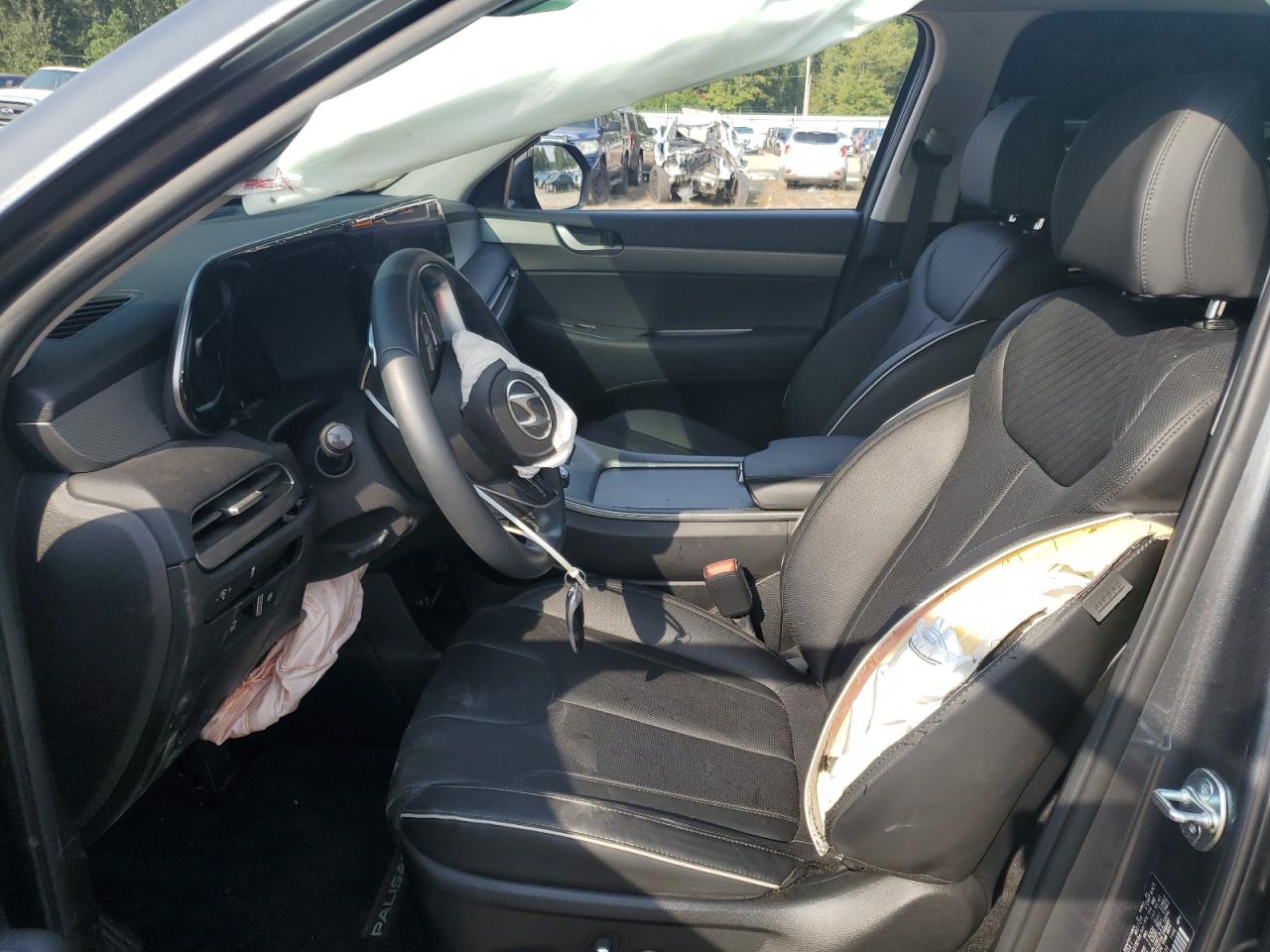 2024 Hyundai Palisade Xrt VIN: KM8R34GE6RU784189 Lot: 71452155