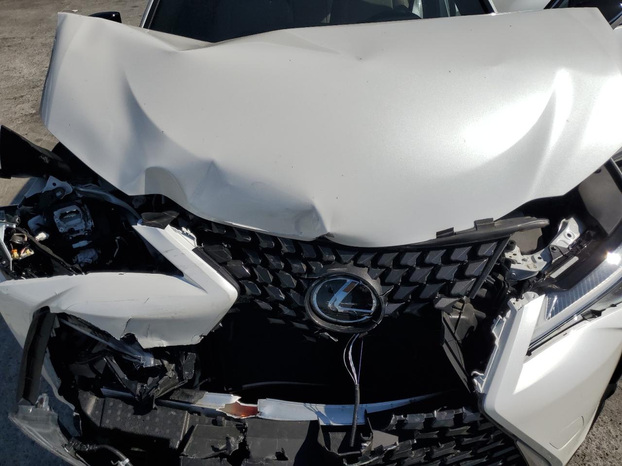 2024 Lexus Ux 250H Base VIN: JTHX6JBH8R2191253 Lot: 81482435