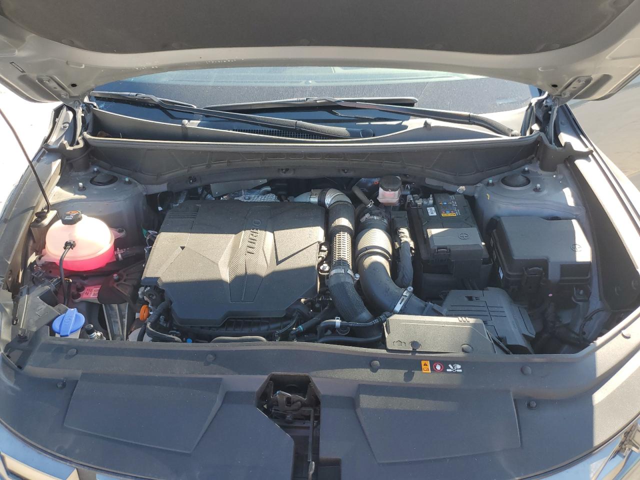 2024 Hyundai Santa Cruz Night VIN: 5NTJCDDF1RH108789 Lot: 71300495