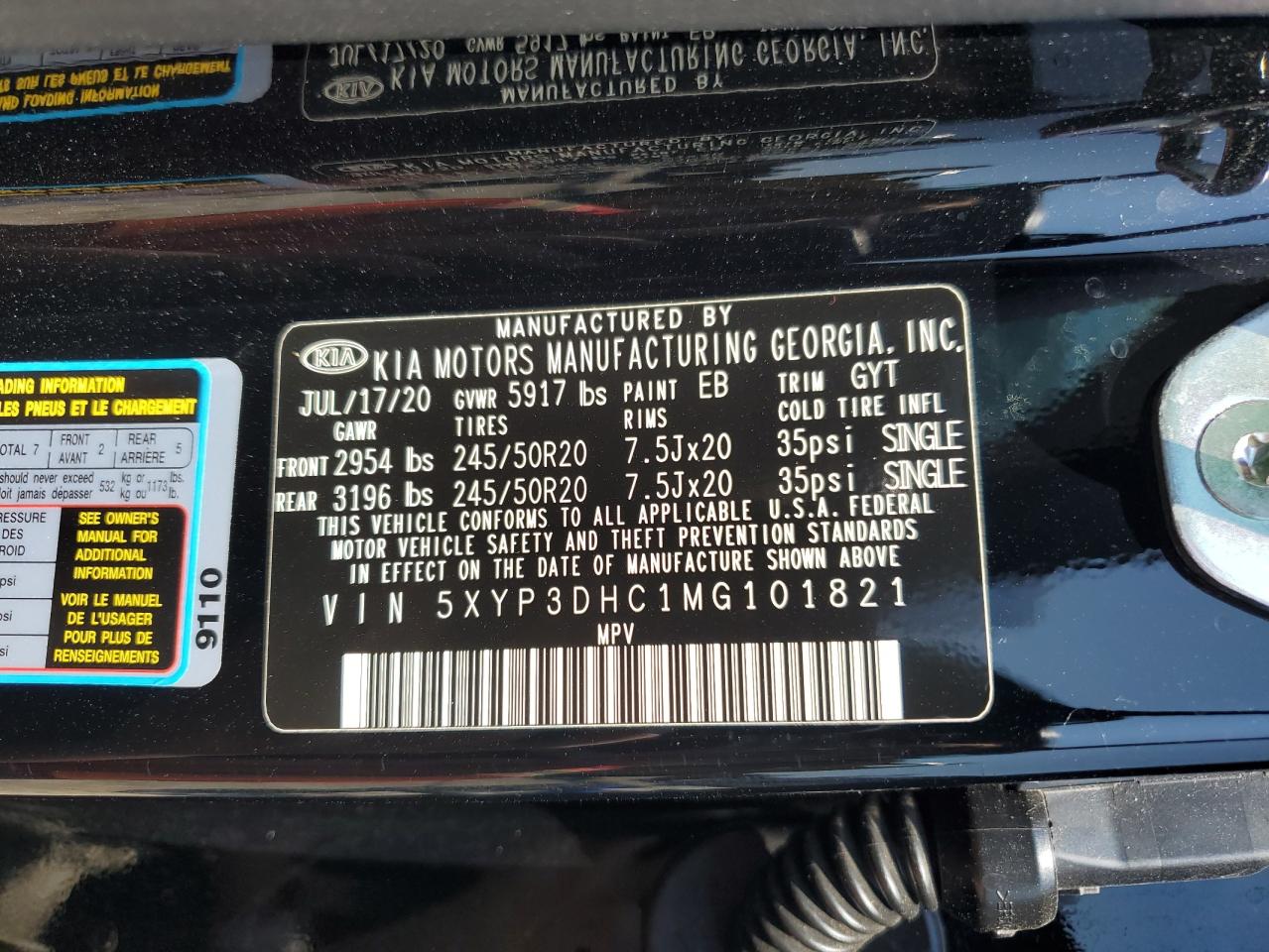 2021 Kia Telluride Ex VIN: 5XYP3DHC1MG101821 Lot: 80678215