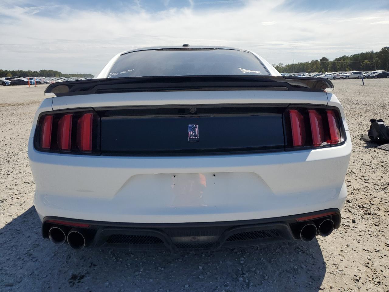 2018 Ford Mustang Shelby Gt350 VIN: 1FA6P8JZ2J5502570 Lot: 81565085