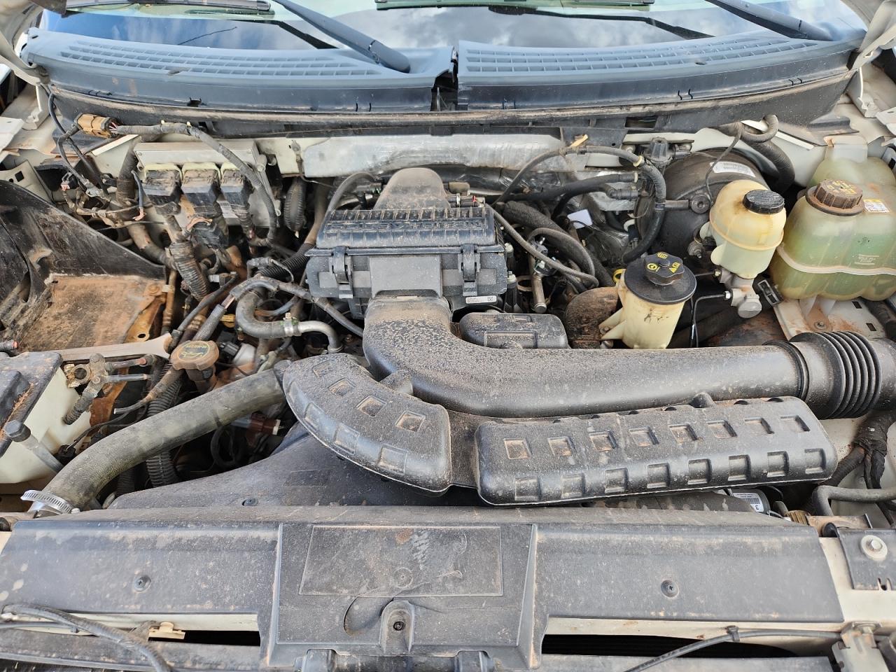 2007 Ford F150 Supercrew VIN: 1FTPW14587FB61700 Lot: 70951665