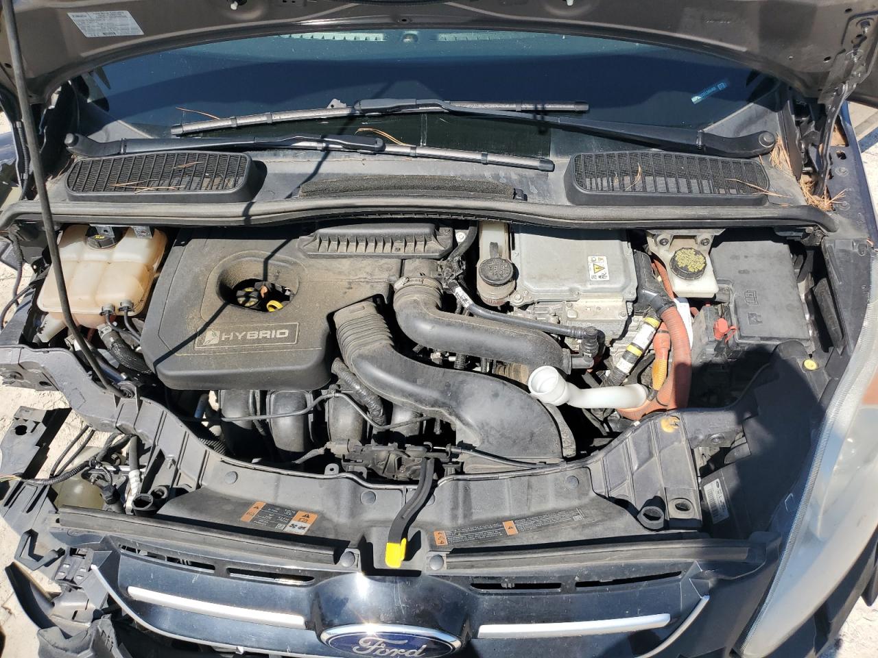 2014 Ford C-Max Sel VIN: 1FADP5BU2EL504409 Lot: 80552355