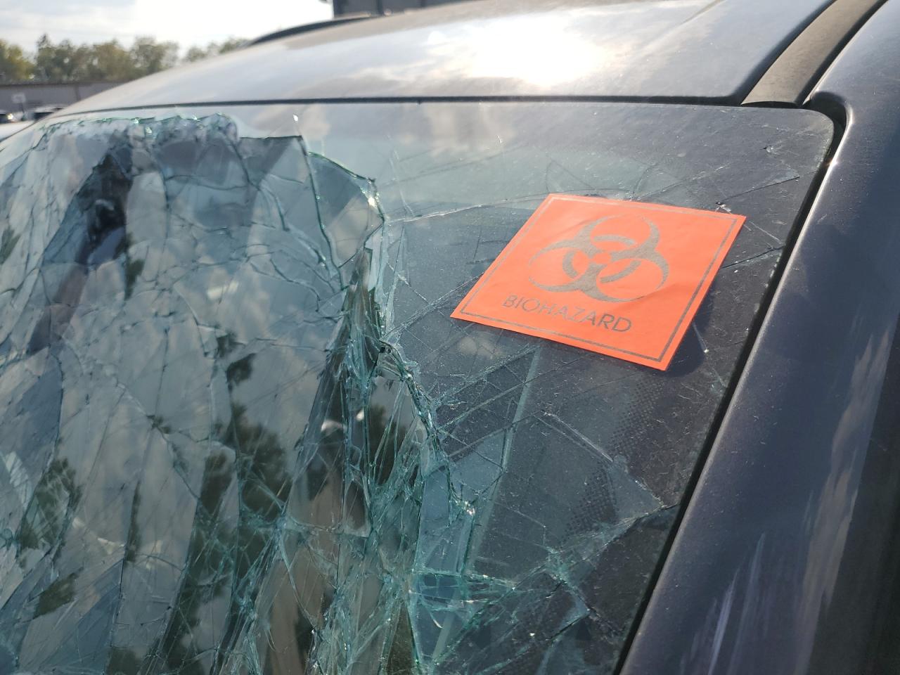 2017 Chrysler Pacifica Touring L Plus VIN: 2C4RC1EG5HR679369 Lot: 81468855