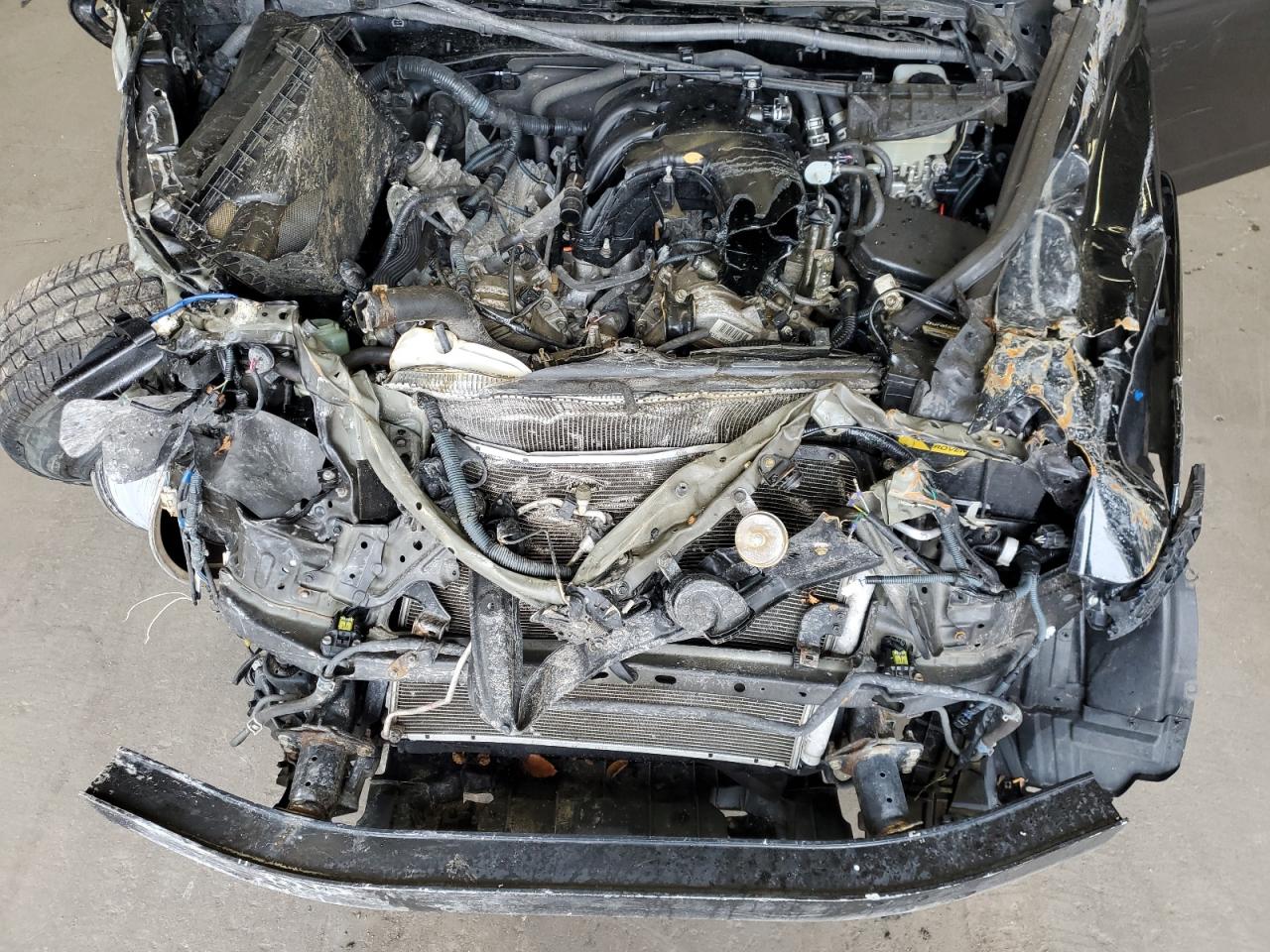 2016 Toyota 4Runner Sr5/Sr5 Premium VIN: JTEBU5JR8G5345504 Lot: 81095005