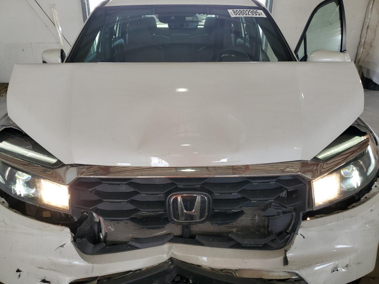 2024 Honda Passport Exl VIN: 5FNYF8H57RB007851 Lot: 80802995