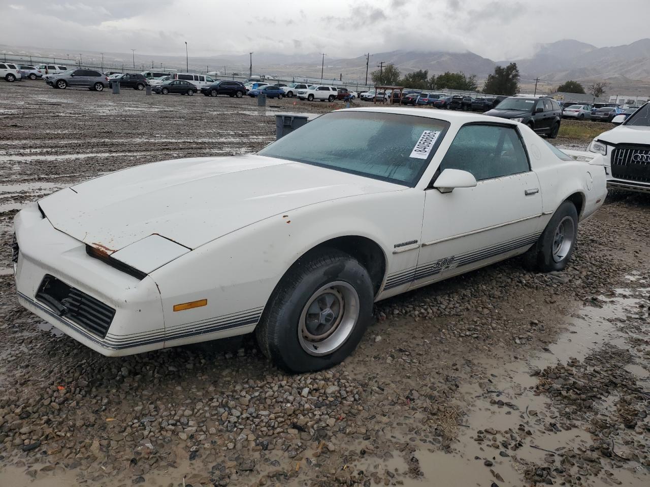 1984 Pontiac Firebird