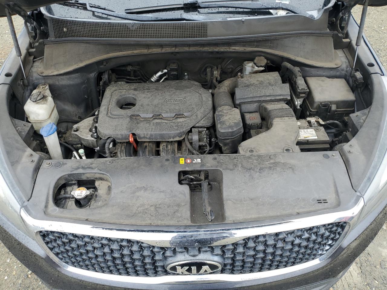 2017 Kia Sorento Lx VIN: 5XYPGDA36HG243568 Lot: 81448375