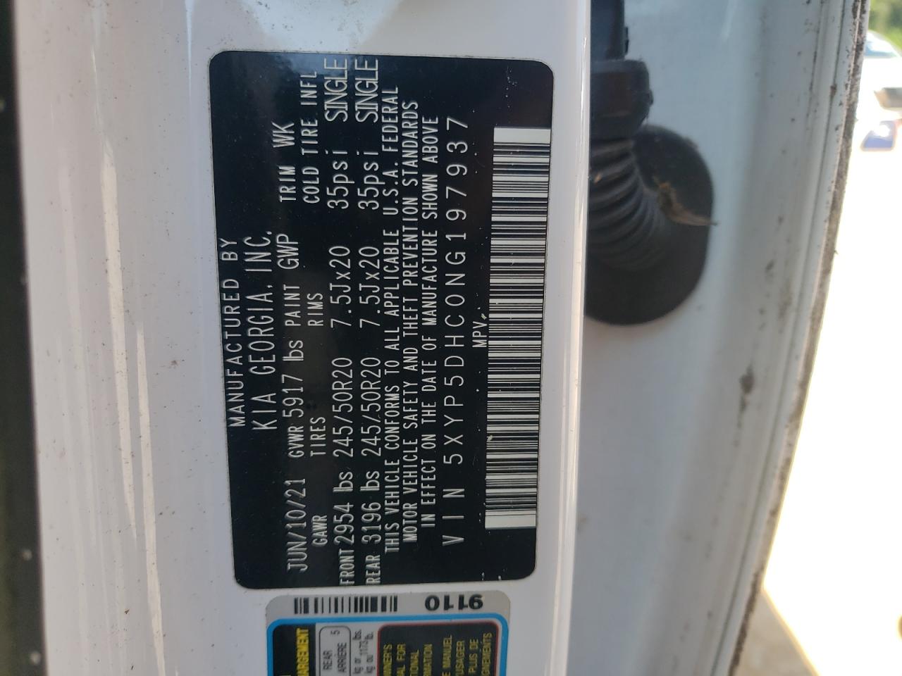 2022 Kia Telluride Sx VIN: 5XYP5DHC0NG197937 Lot: 80295575