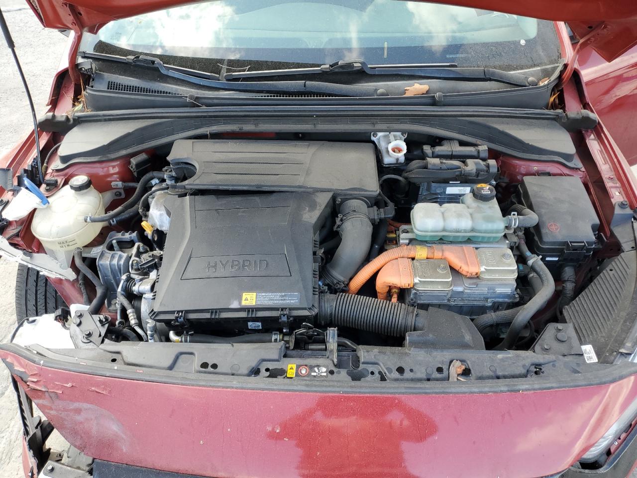 2019 Hyundai Ioniq Blue VIN: KMHC65LC1KU128009 Lot: 69150275