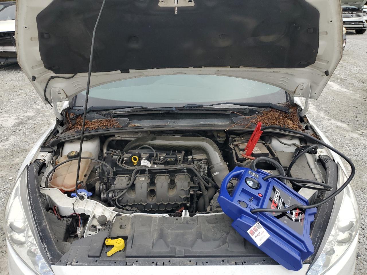 2017 Ford Focus St VIN: 1FADP3L91HL221535 Lot: 84009415