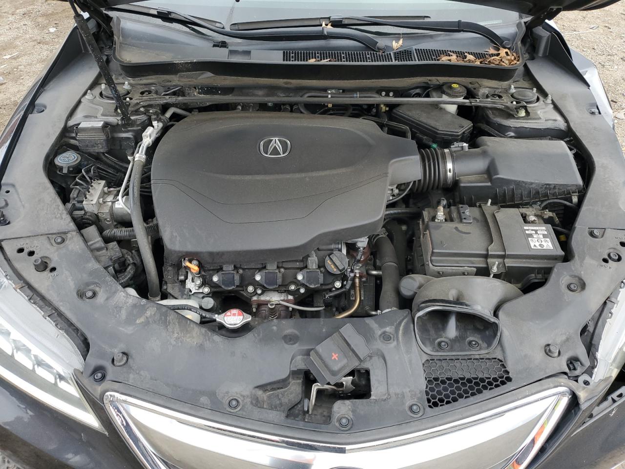 2016 Acura Tlx Tech VIN: 19UUB2F55GA004352 Lot: 80010945