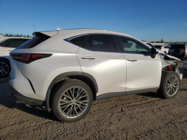  LEXUS NX 350 2022 Белы