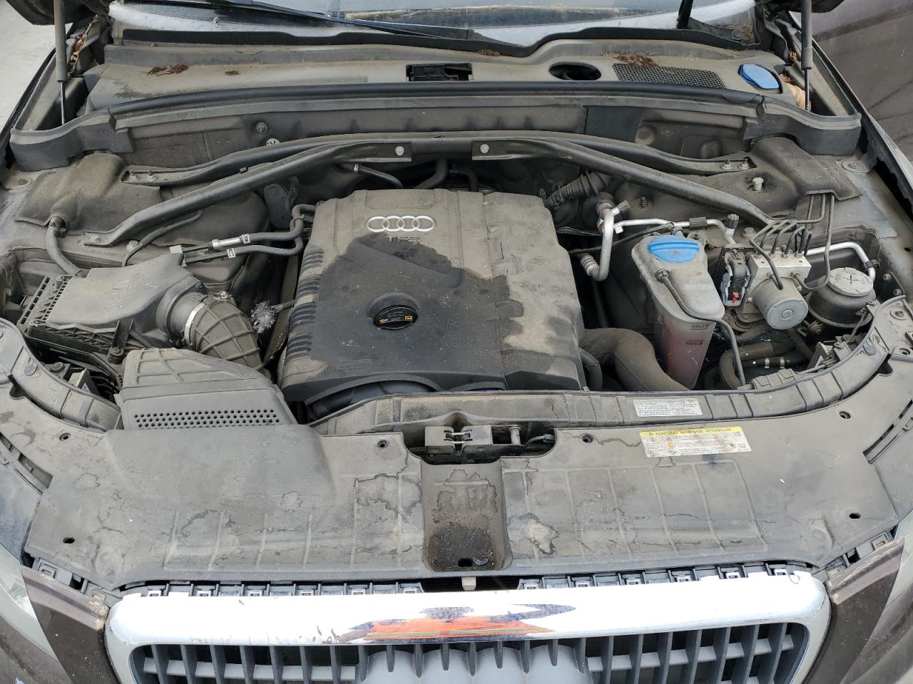 2011 Audi Q5 Premium Plus VIN: WA1LFAFP5BA089626 Lot: 81934165