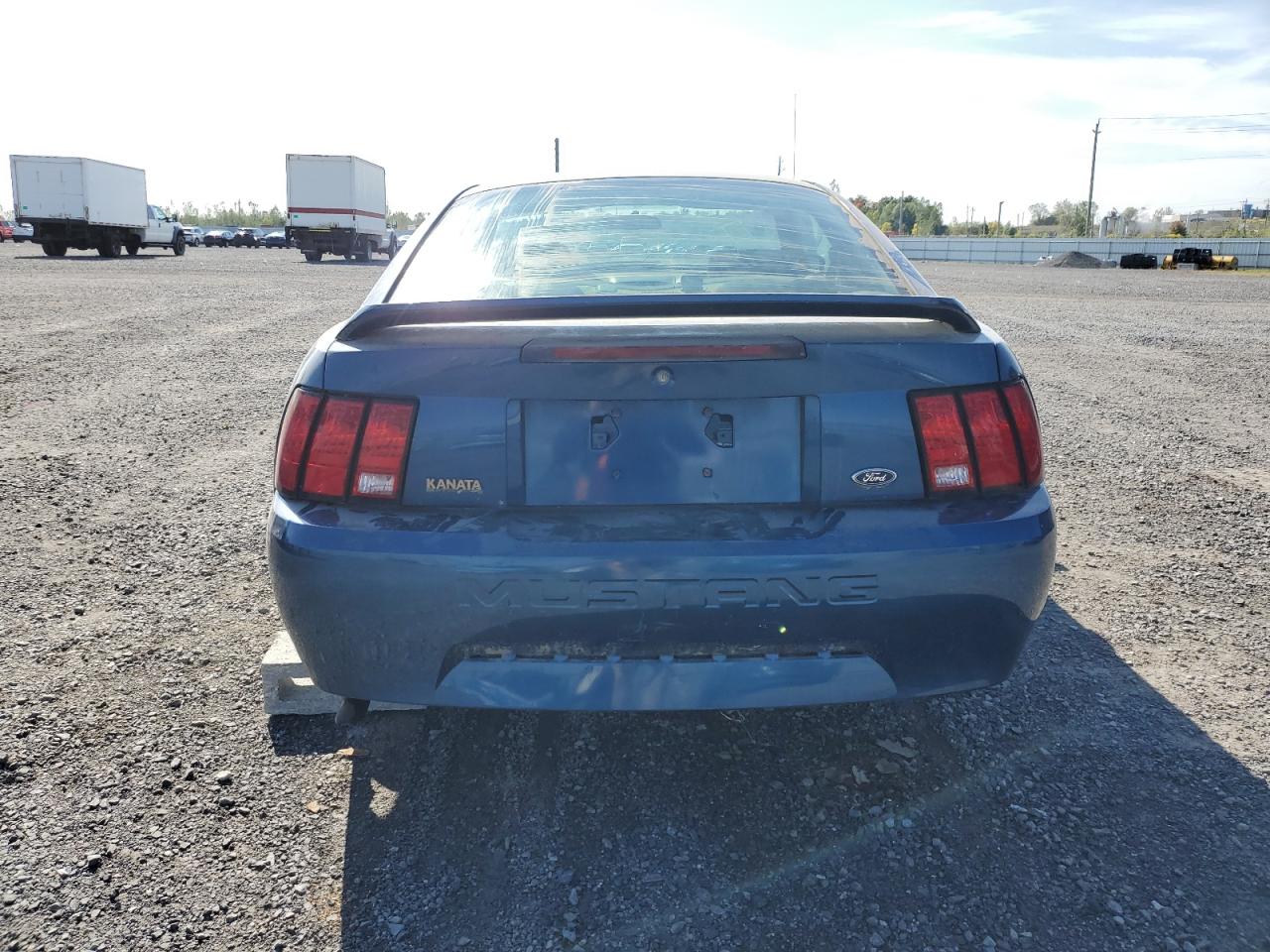 2000 Ford Mustang VIN: 1FAFP4046YF206163 Lot: 81810035