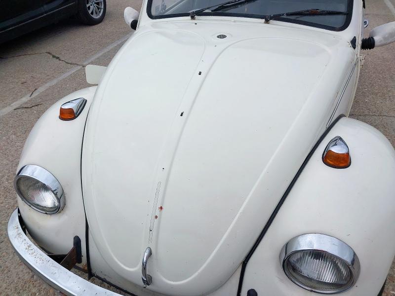 1969 VOLKSWAGEN  