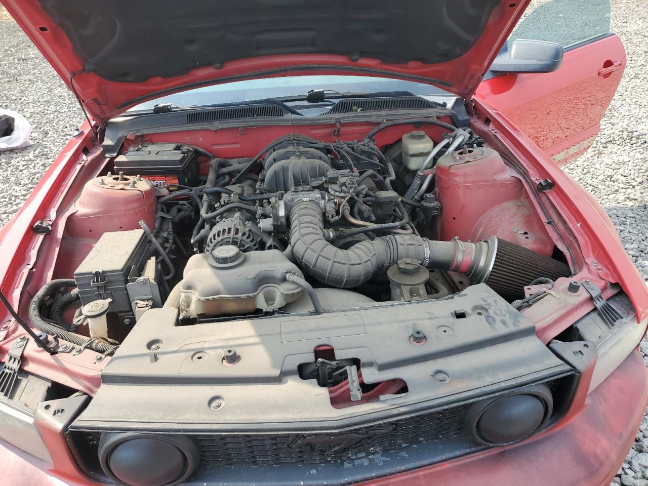 2007 Ford Mustang VIN: 1ZVFT80N175310972 Lot: 67811945