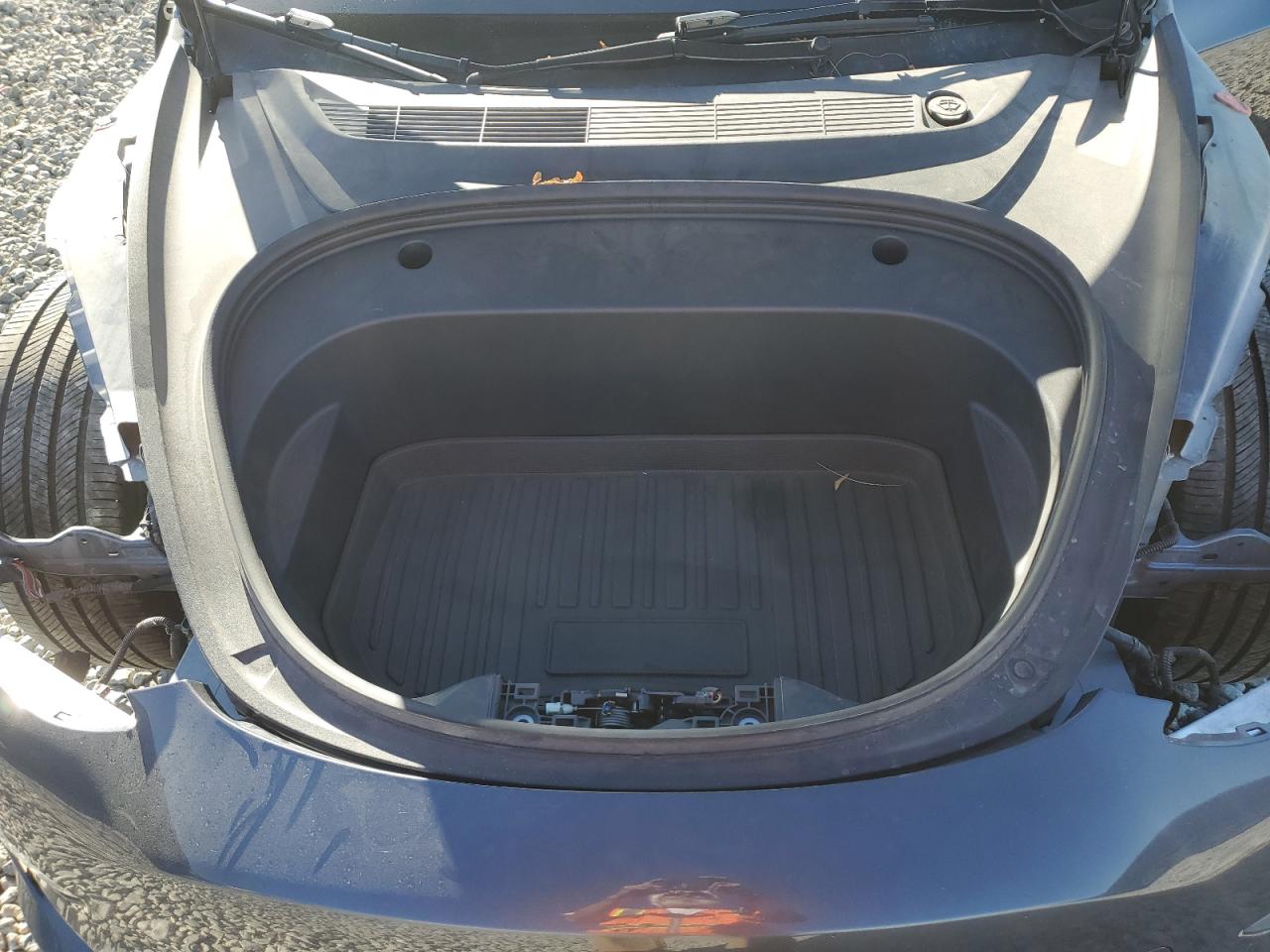 2023 Tesla Model 3 VIN: 5YJ3E1EA0PF681620 Lot: 81443645