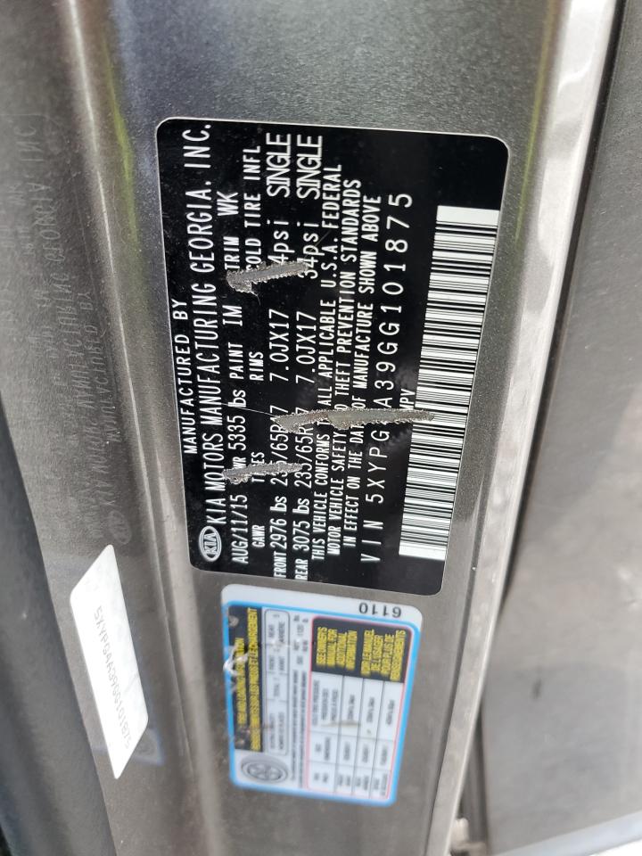 2016 Kia Sorento Lx VIN: 5XYPG4A39GG101875 Lot: 80667125