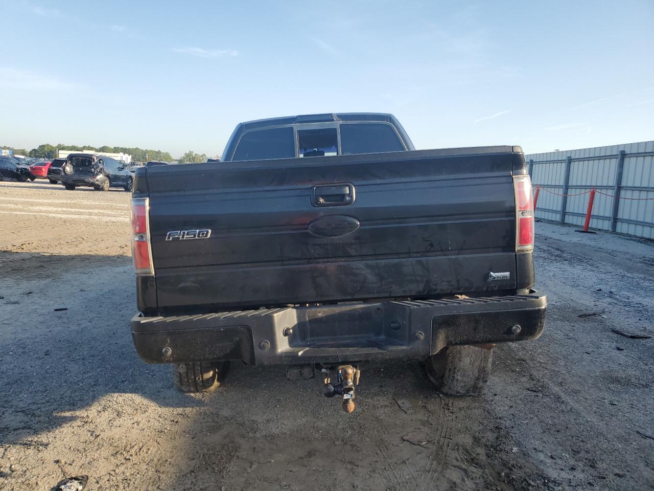 2010 Ford F150 Super Cab VIN: 1FTFX1EV1AFC74256 Lot: 90066715