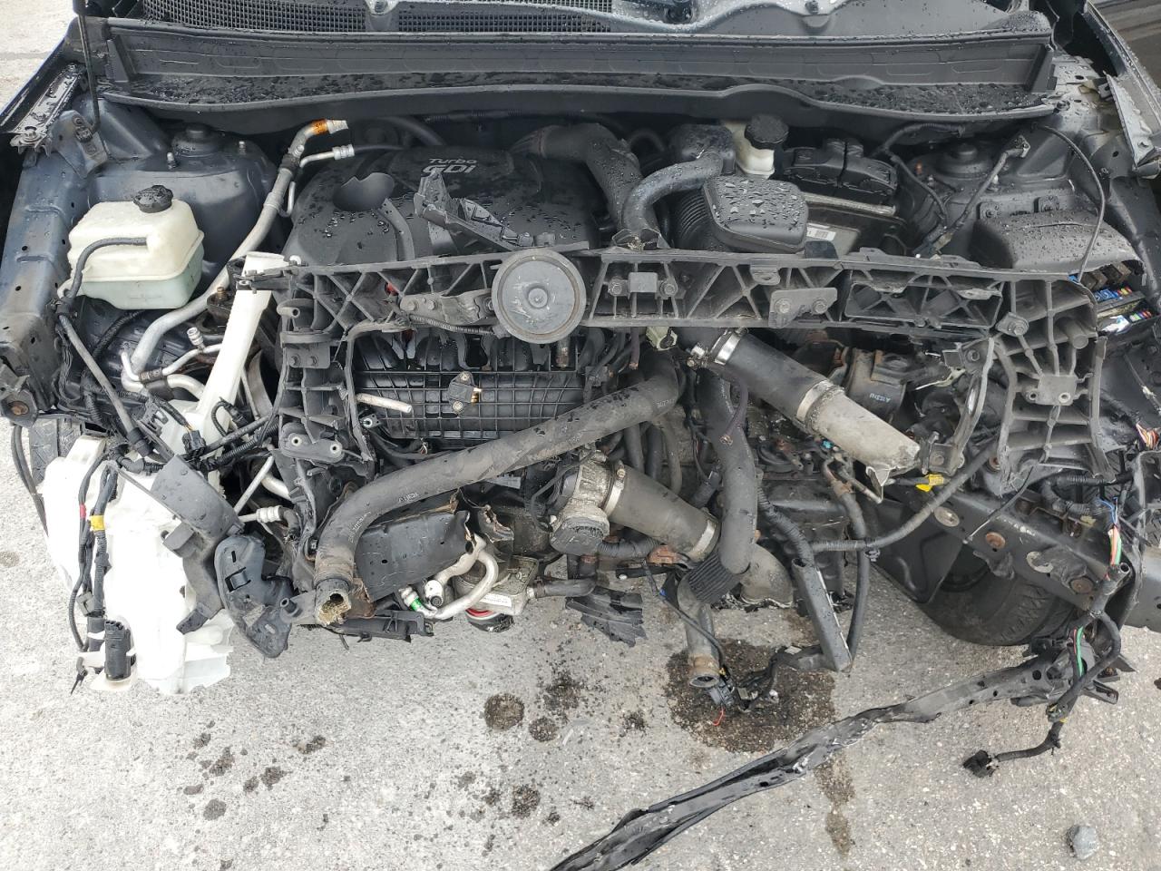 2012 Kia Sportage Sx VIN: KNDPCCA65C7178184 Lot: 71696665