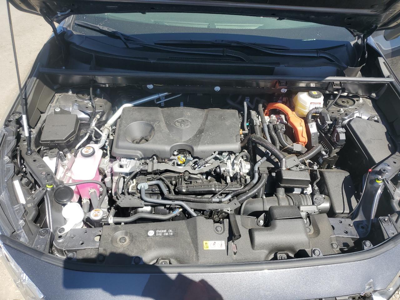 2025 Toyota Rav4 Le VIN: JTMMWRFV6SD292384 Lot: 71930025