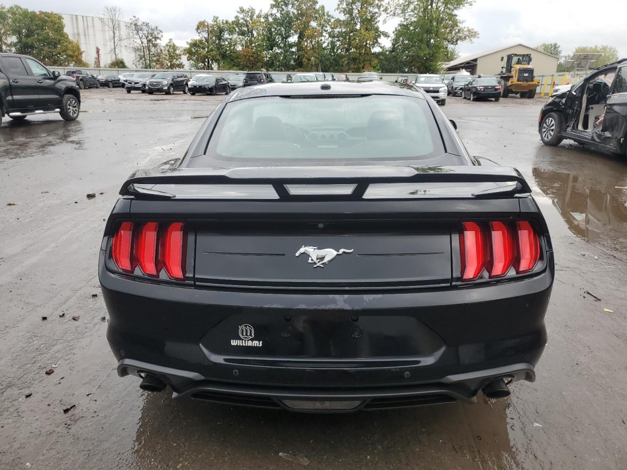 2019 Ford Mustang VIN: 1FA6P8TH3K5198896 Lot: 81188685