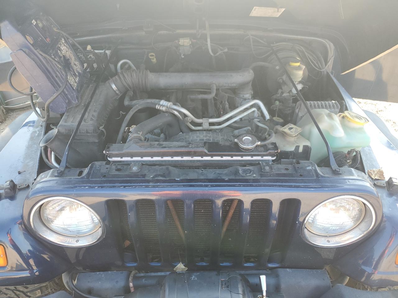 2004 Jeep Wrangler X VIN: 1J4FA39S54P735867 Lot: 80493245
