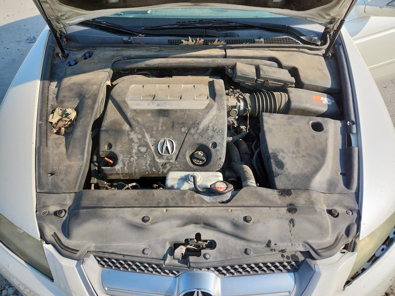 2008 Acura Tl VIN: 19UUA66218A027435 Lot: 71456895