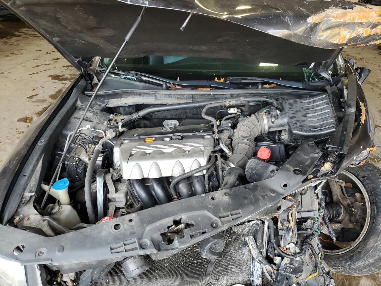 2012 Acura Tsx VIN: JH4CU2F42CC009372 Lot: 83929645