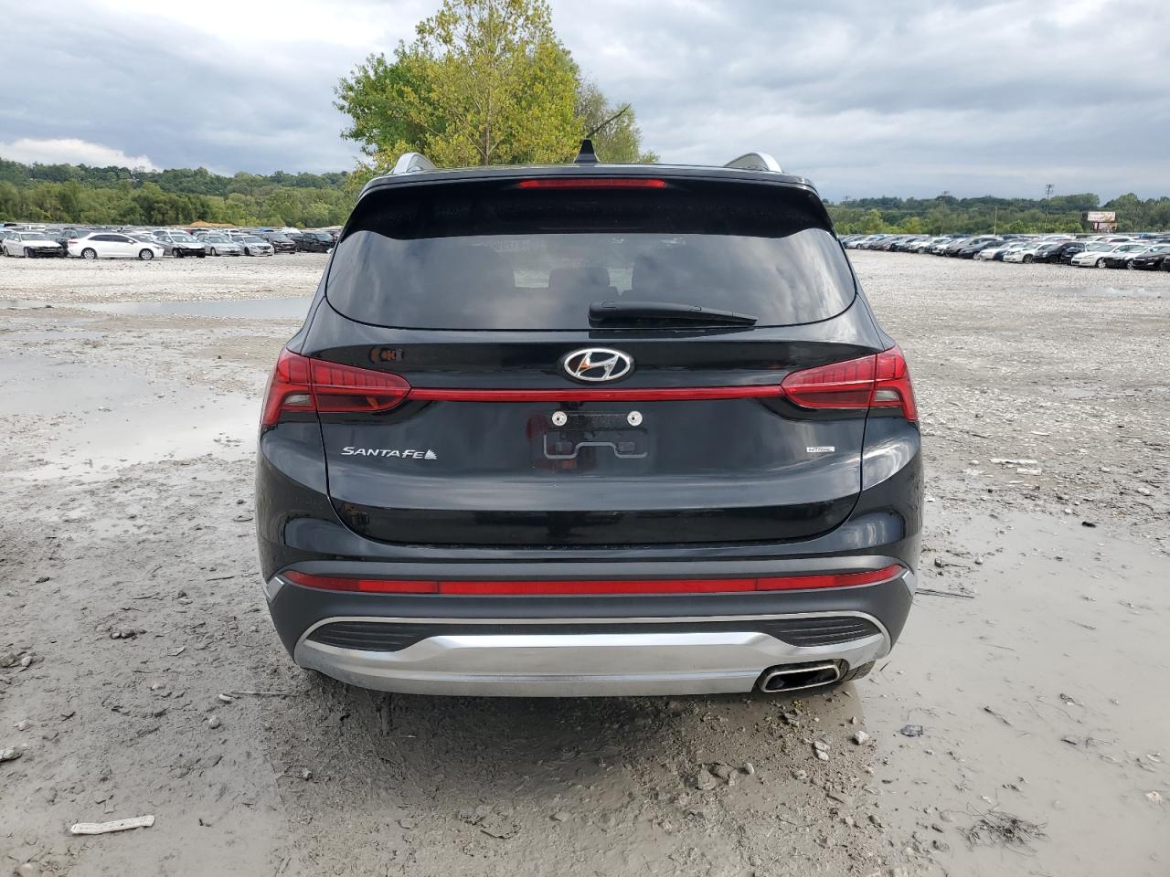 2022 Hyundai Santa Fe Sel VIN: 5NMS3DAJ7NH447849 Lot: 81799655