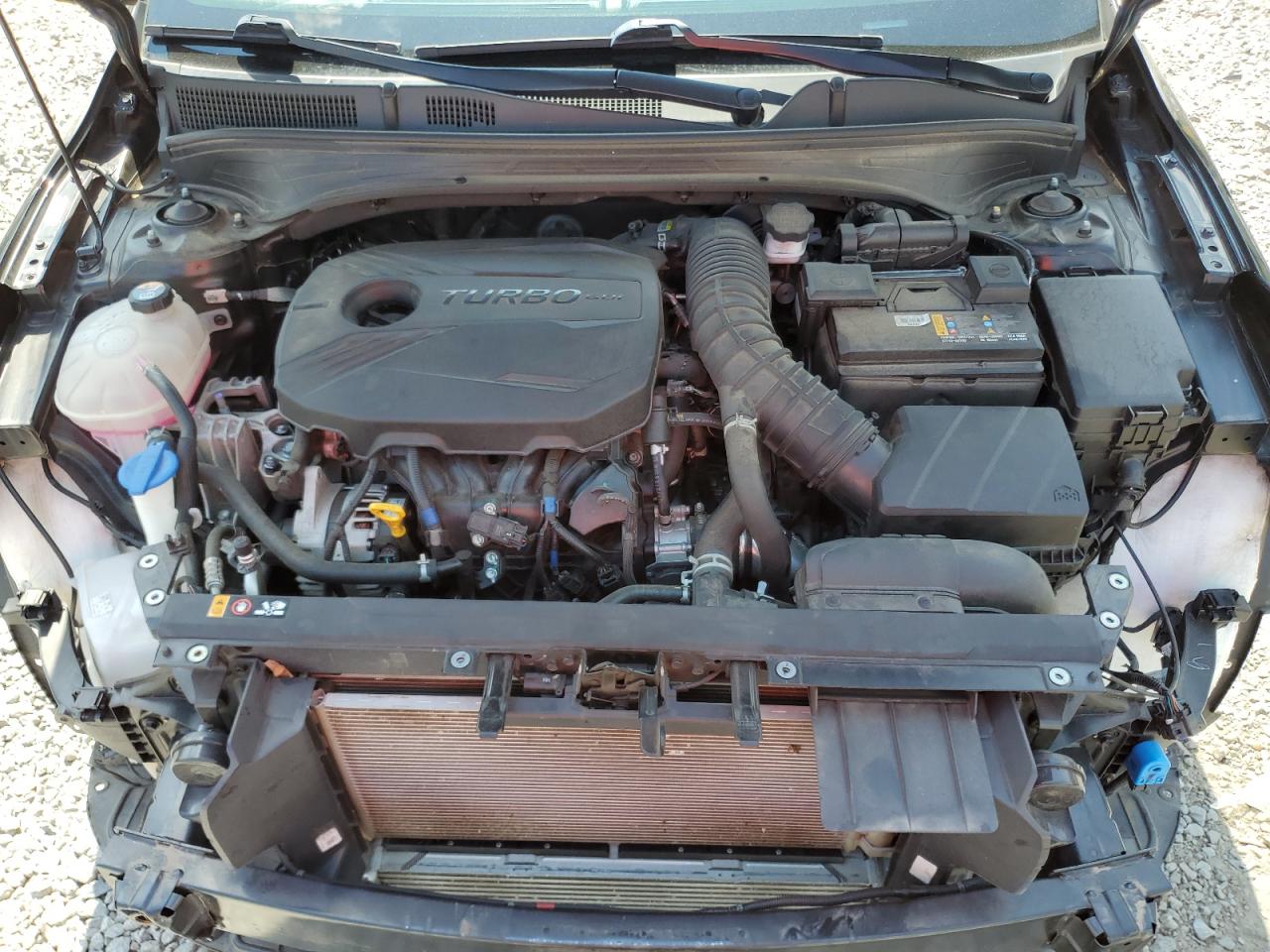 2022 Kia Forte Gt VIN: 3KPF44ACXNE437324 Lot: 80676775