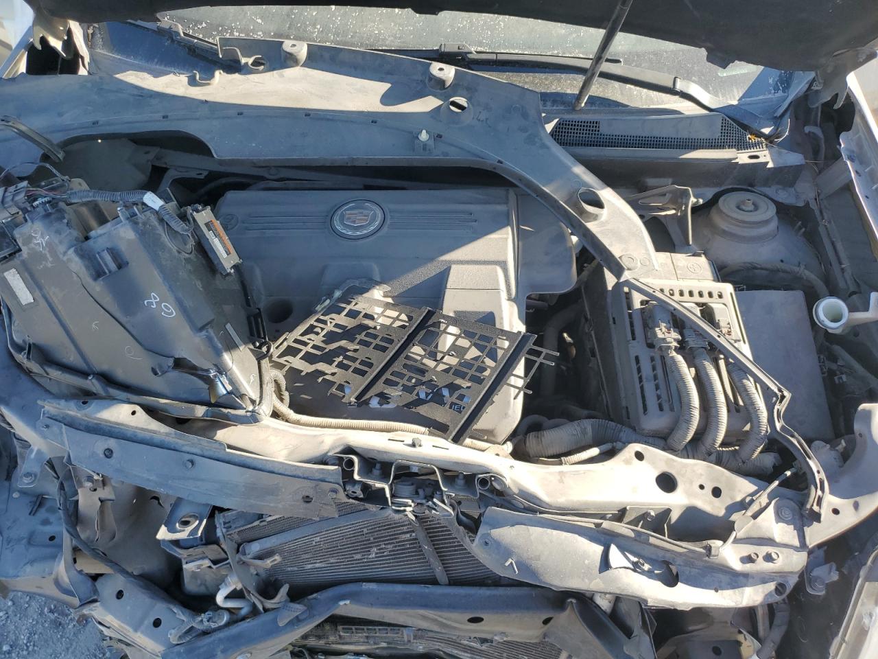 2014 Cadillac Srx Premium Collection VIN: 3GYFNDE38ES581666 Lot: 81743025