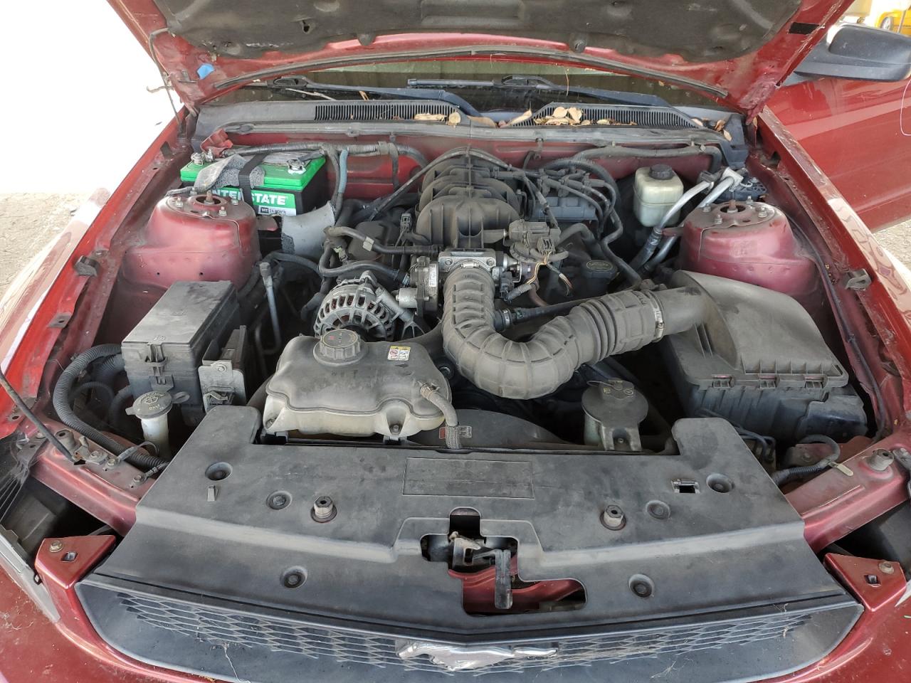 2008 Ford Mustang VIN: 1ZVHT84N085136235 Lot: 81880705